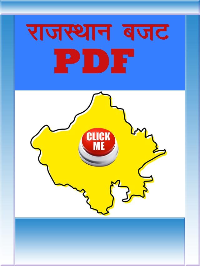 Rajasthan Budjet 20213 PDF